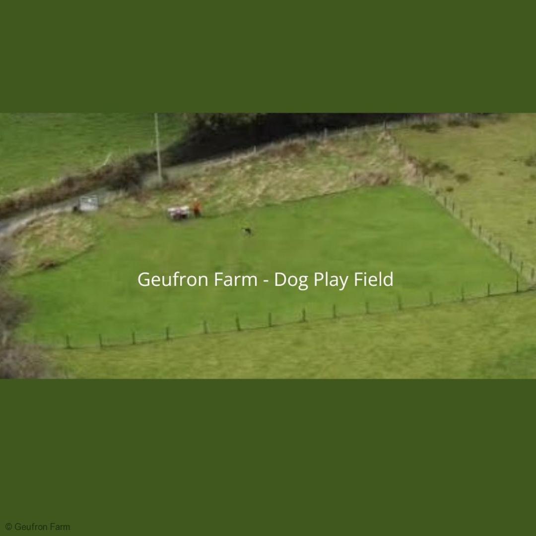 The Barn At Geufron Farm - Dog Friendly - Nr Tywyn Villa Bryn-crug Exterior foto